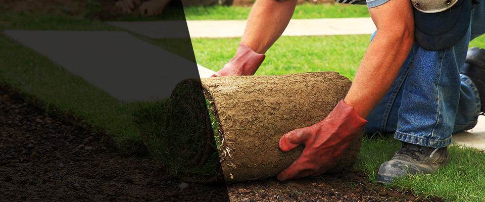 Susquehanna Landscapers